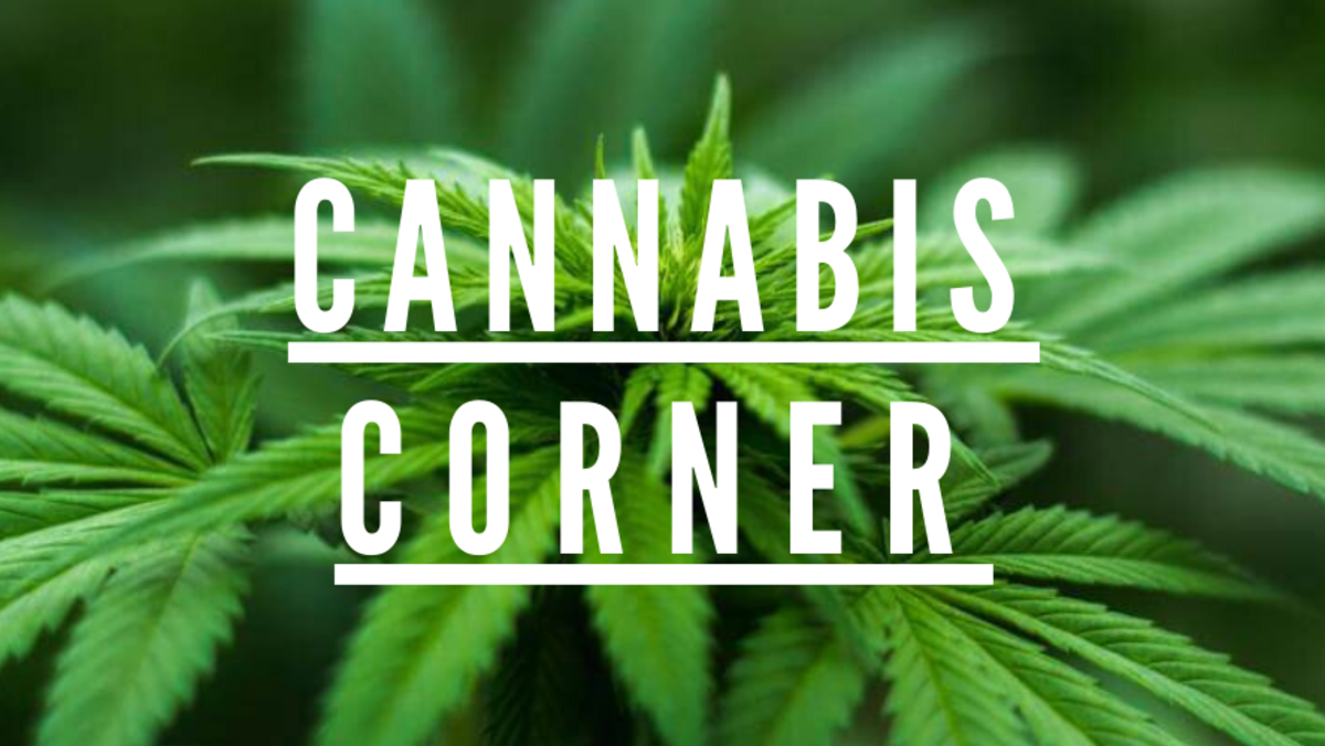 Cannabis Corner, Key Insights by Adam Isaac Miller | Jan 19/2020 ...