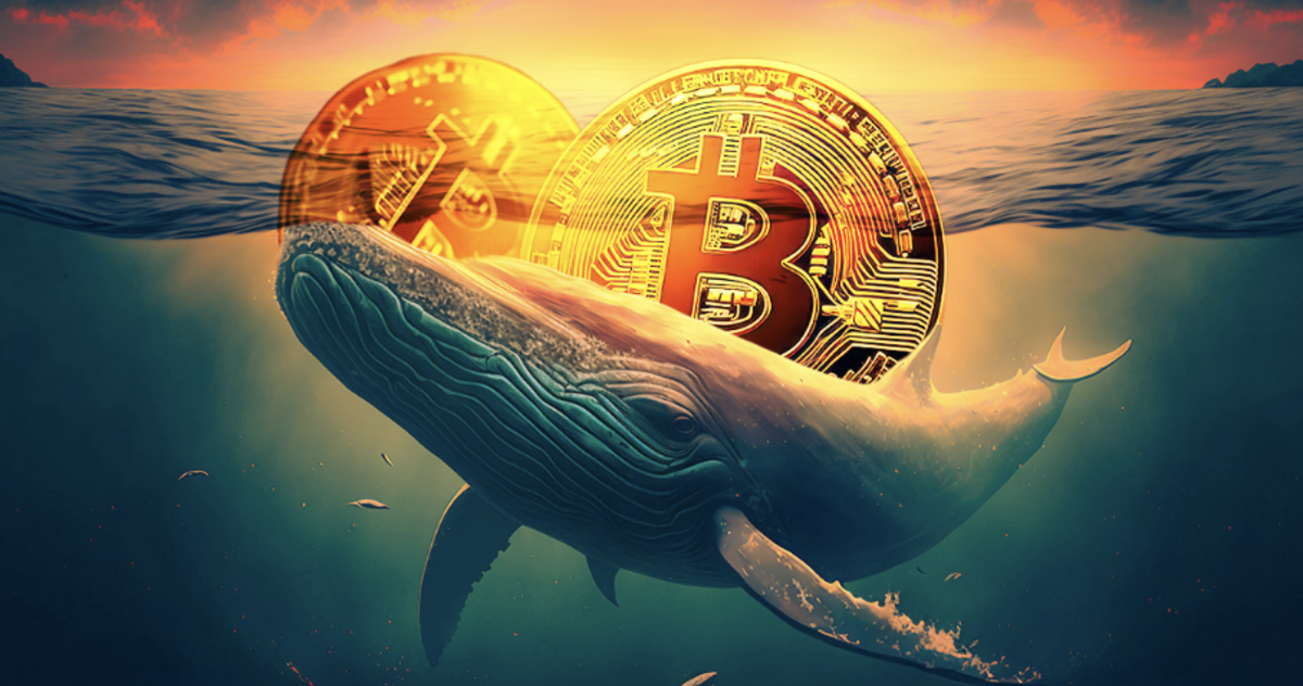 The Tale About A Generous Bitcoin Whale - Blockleaders